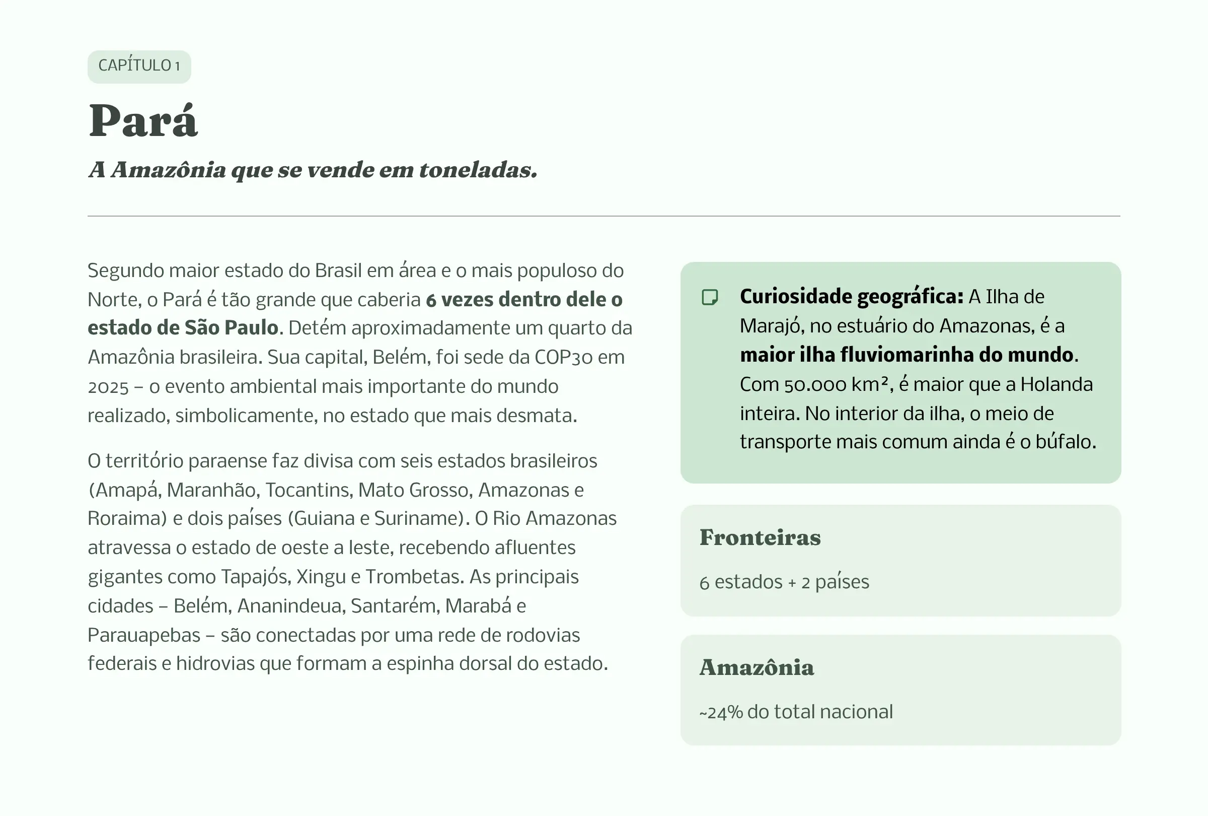 Página de Capa